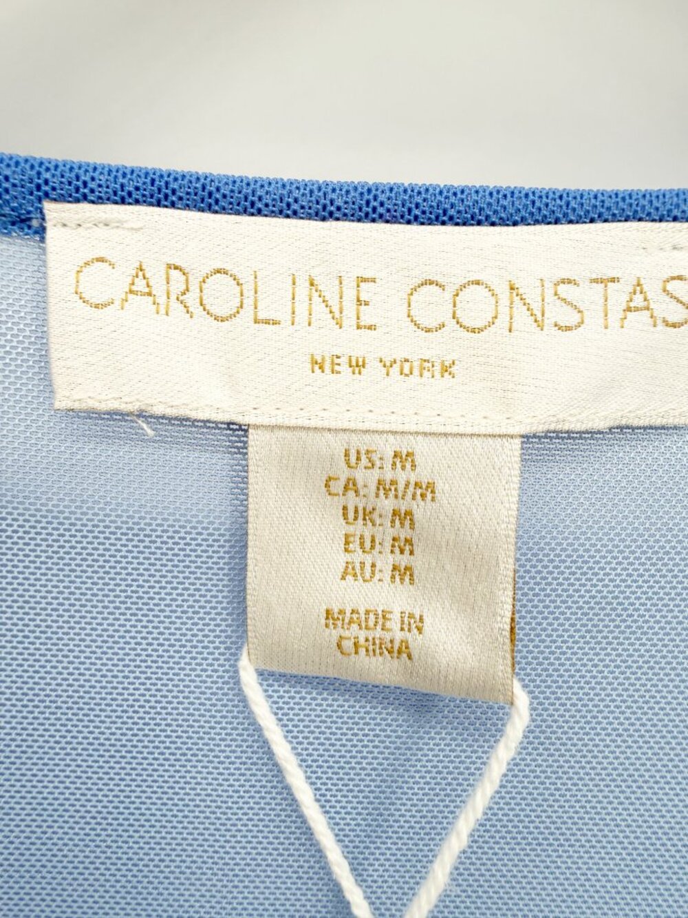 Caroline Constas Blue Mesh Maxi Cover-Up Dress Kaftan Tunic M NEW - Picture 5 of 11